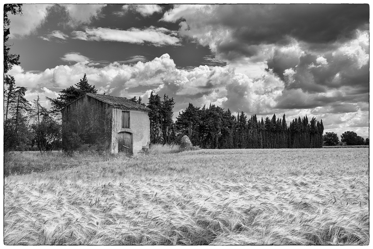 Elliot Owens - Provencal Countryside